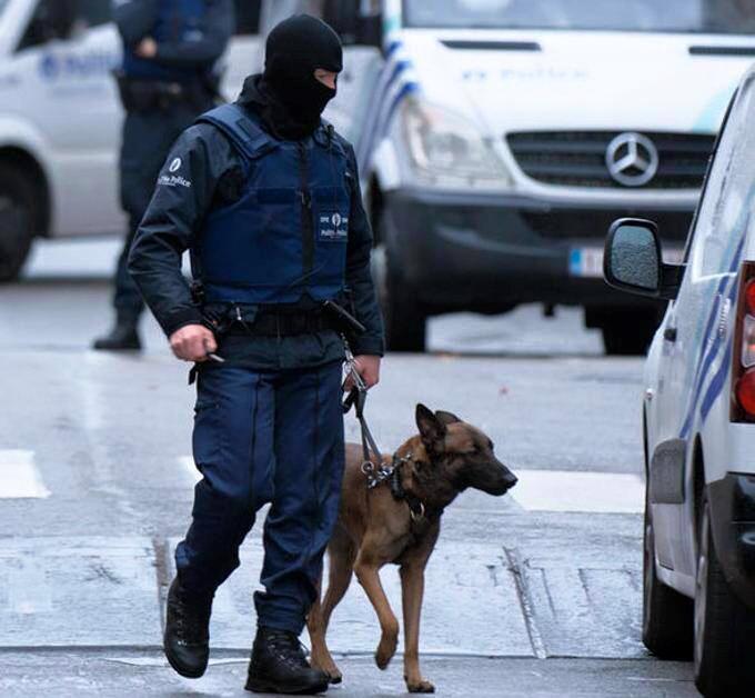 Diesel il cane poliziotto eroe ucciso dai terroristi