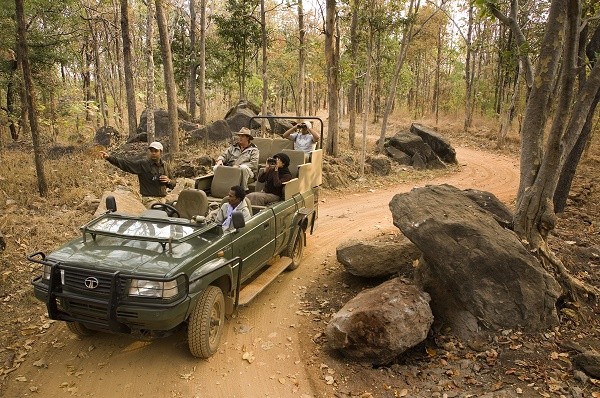 Taj Safari - Baghvan Pench National Park - Game Drive