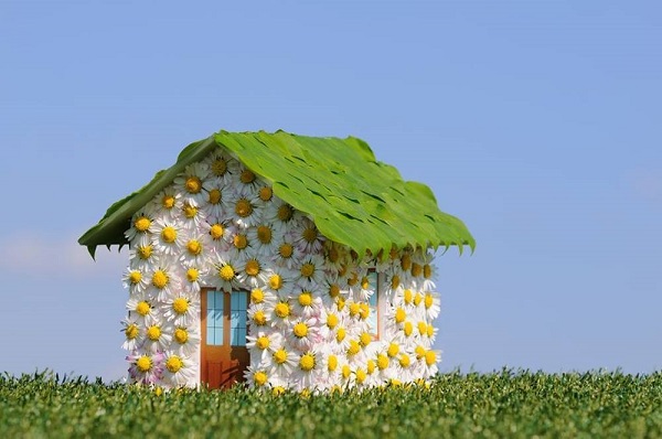 Come avere una casa più ecologica