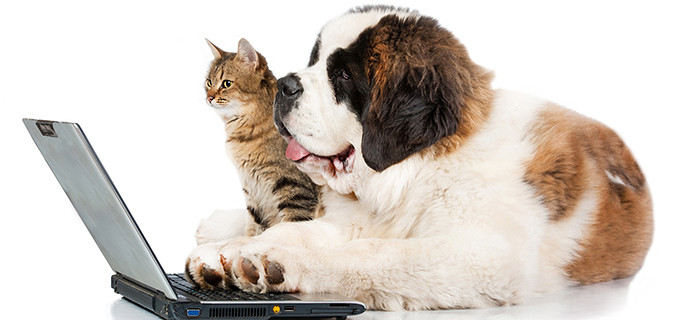 Milano per gli animali con l’App zampa a zampa