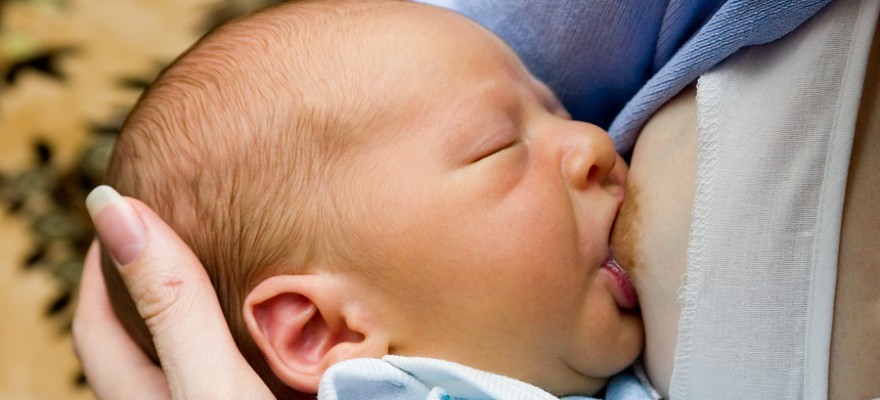 allattare in pubblico