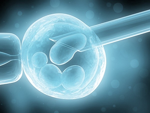Fecondazione, con diagnosi preimpianto 80% donne incinta al primo tentativo