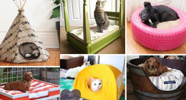 Cuccia fai-da-te, 7 idee per costruire una cuccia per cani e gatti