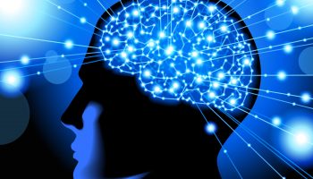 neurobica, la ginnastica mentale che attiva subito il cervello da fare a casa