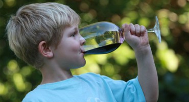 provare l'alcol prime di 11 anni predispone a bere