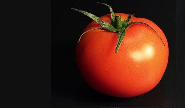 Arriva il superpomodoro ricco di antiossidanti quanto 50 bottiglie vino rosso