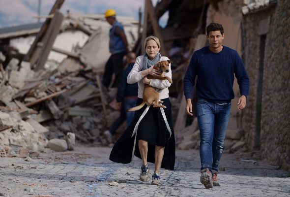 Il terremoto degli animali: a Norcia i soccorsi salvano 70 fra cani e gatti