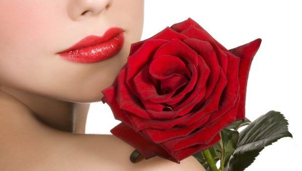 Regalare un fiore seducente ed elegante che duri a lungo: la rosa stabilizzata