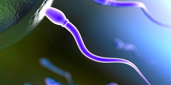 Infertilità maschile: l’inquinamento  impatta sul dna dello sperma