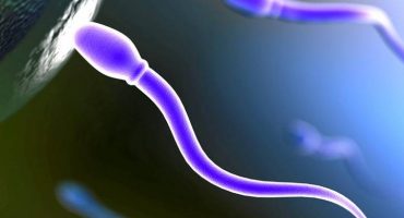 Infertilità maschile: l’inquinamento impatta sul dna dello sperma